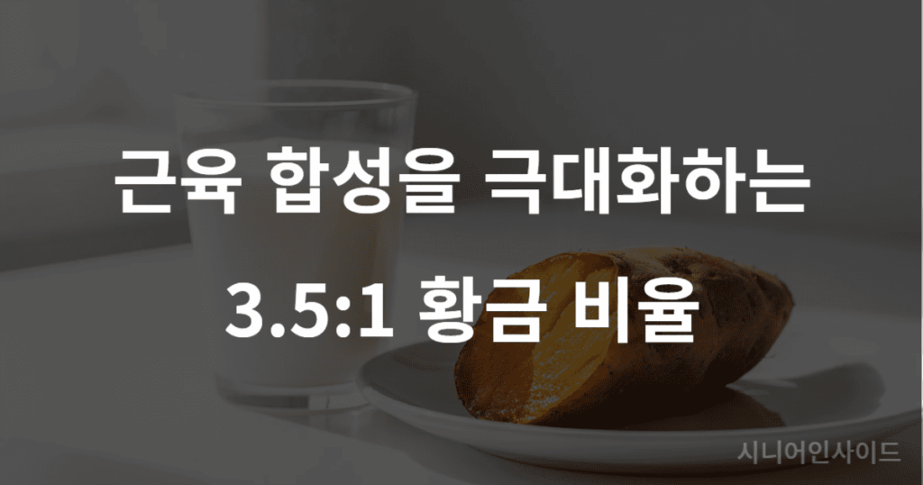 시니어 근력 운동 우유와 고구마 조합