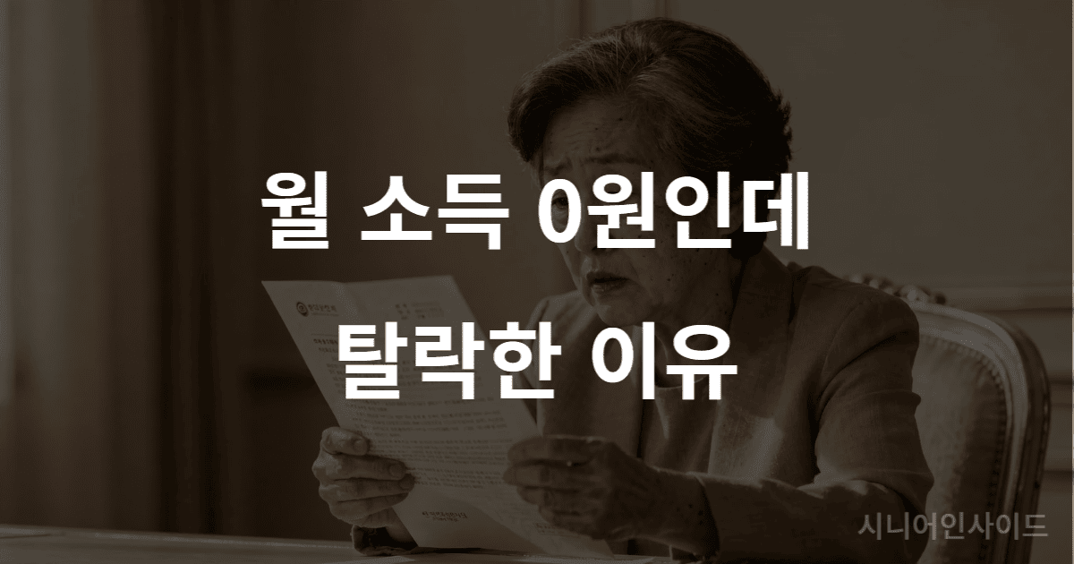 기초연금 탈락 이유를 설명하는 대표 이미지